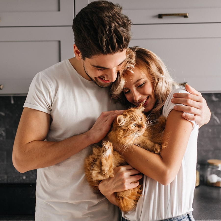 Белая кошка